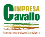 logo_Impresa Cavallo S.r.l.