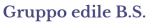 logo_Gruppo Edile B.S.