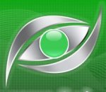 logo_SISTEMI DI SICUREZZA S.R.L.