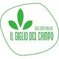 logo_IL GIGLIO DEL CAMPO - SOCIETA' COOPERATIVA SOCIALE ONLUS