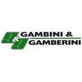 logo_GAMBINI & GAMBERINI S.R.L.