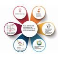 logo_P.L.B Service SRL