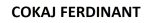 logo_COKAJ FERDINANT