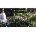 logo_Flores Paredes H&eacute;ctor  Luciano