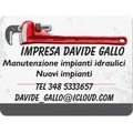 logo_Impresa Davide Gallo