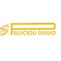 logo_PELLICIOLI DUILIO GIANNI