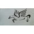 logo_PEGASO SECURITY DI ROGAI LEONARDO