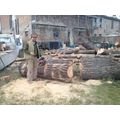logo_Edil Fabbro di Gizzi Mario