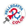 logo_PELLEGATTA NICOLA