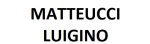 logo_MATTEUCCI LUIGINO