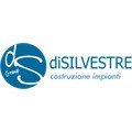 logo_Di Silvestre Group SRL