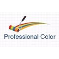 logo_Professional Color
