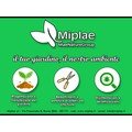 logo_MIPLAE SOCIETA' A RESPONSABILITA' LIMITATA