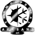 logo_Termospecial Avesani S.r.l.