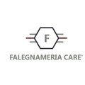 logo_FALEGNAMERIA CARE' SAS DI CARE' SIMONE E C.