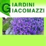 logo_Giardini Giacomazzi Narciso