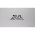 logo_NGL S.R.L.