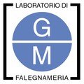 logo_G.M. S.N.C. DI PAROLO BRUNO & C.
