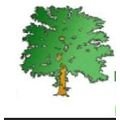 logo_Vilverde S.n.c.