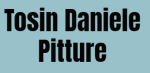 logo_Tosin Daniele