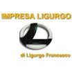 logo_Impresa Edile Ristrutturazione Ligurgo Francesco