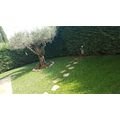 logo_Le Jardin