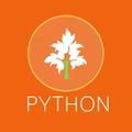logo_PYTHON S.R.L.