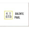 logo_BALINTE PAUL