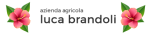logo_Giardini Brandoli