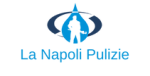 logo_LA NAPOLI PULIZIE