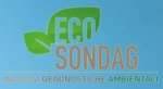 logo_ECOSONDAG S.R.L.