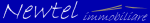logo_Newtelimmobiliare