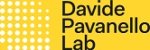 logo_Davide Pavanello Lab