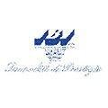 logo_IBI srl