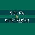 logo_VILLE & DINTORNI