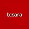 logo_Besana