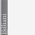 logo_Billiani srl