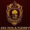 logo_Bussandri Arte