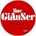 logo_Line Gianser sas