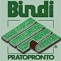 logo_BINDI SECONDO srl