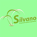 logo_SOLUZIONI di F. Tirinnanzi