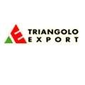 logo_TRIANGOLO EXPORT srl