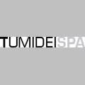 logo_Tumidei