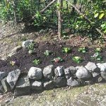 logo_Giardinaggio Dal Col Mario