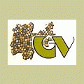 logo_G.V. srl Porfidi del Trentino