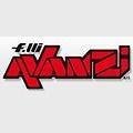 logo_Gruppo AVANZI srl