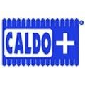logo_Caldopiù Srl