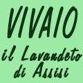 logo_VIVAIO IL LAVANDETO DI ASSISI