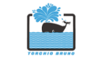 logo_TORCHIO BRUNO Snc