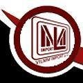 logo_VILMM IMPORT srl